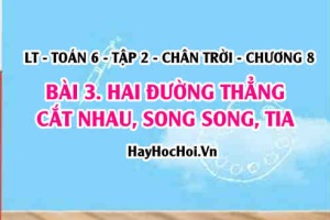 Hai đường thẳng cắt nhau, song song. Tia? Toán 6 chân trời Tập 2 chương 8 Bài 3